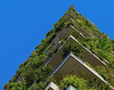 Eckansicht eines Hochhauses mit viel Bewuchsvon unten
